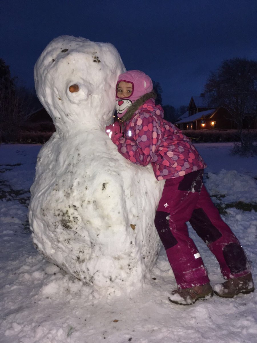 Mammasschool's tweet photo. I've no carrots left!! They are all in the garden belonging to the growing tribe of oversized snowmen 😂😂😂😂#snowmen #snow #mumproblem https://t.co/zgtQBwYEvJ