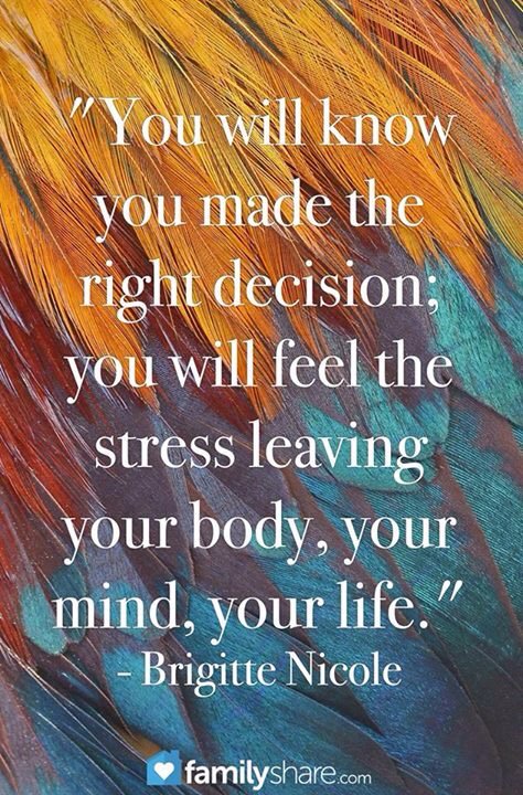 limidoh38's tweet image. 