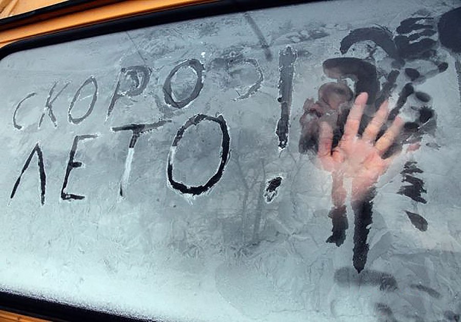 Картинки скоро лето смешные с надписями