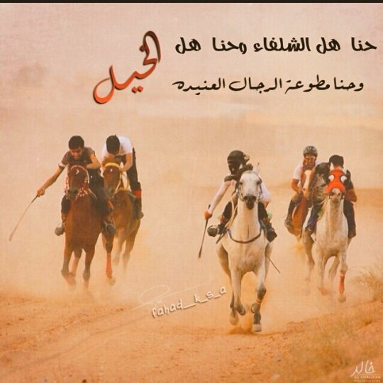 عاشقة الخيول♥♥♡ (@qifdamriijvwjzc) on Twitter photo 