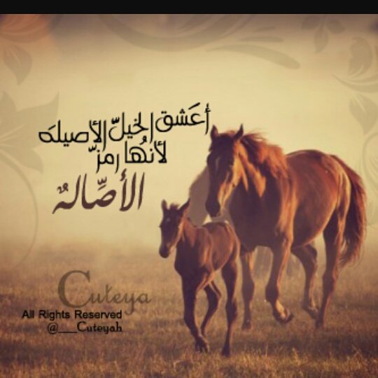 غيرك محبتهم دعايه وتلفيق الا أنت ... مثل الماس يلمع بريقه*