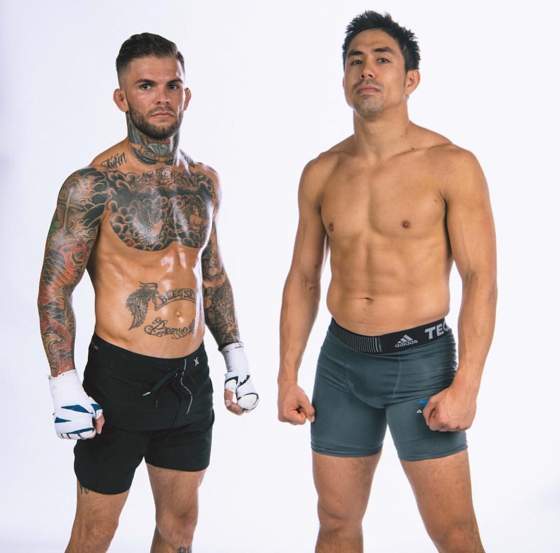 Team Alpha Male tweet media