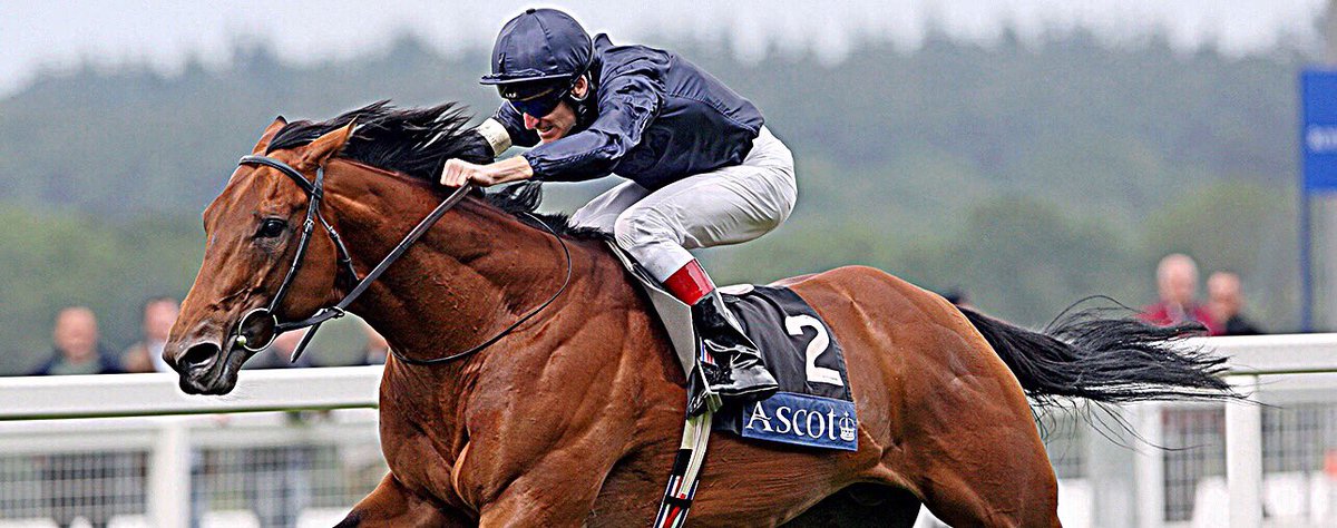 I am Duke, Duke Of Marmalade. <a href="/DrakensteinStud/">Drakenstein Stud</a>