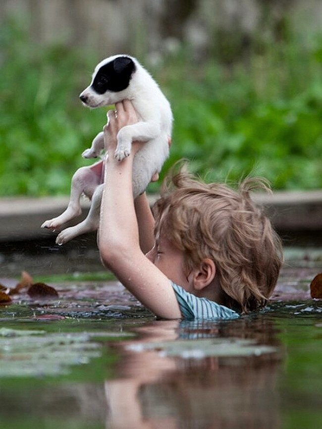 Akash ✨ tweet media