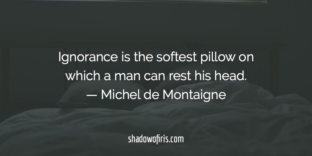 shadowofiris's tweet image. 