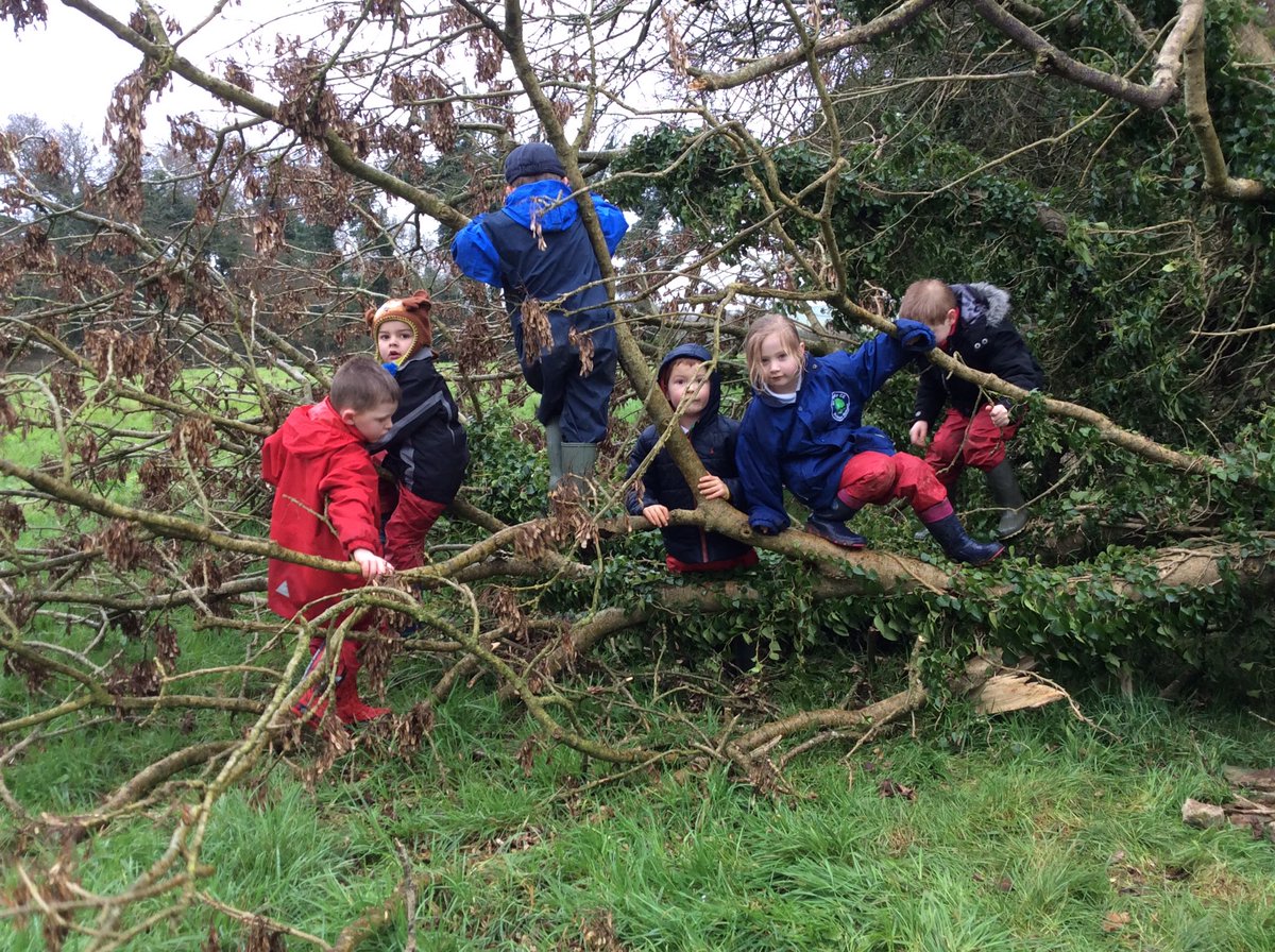 StTudyPrimary's tweet photo. #outdoorlearning Class 1 in search of a dragon world and they found one! Children love their new weekly outdoor day! #teambuilding #fun https://t.co/JlF8BhIRmy