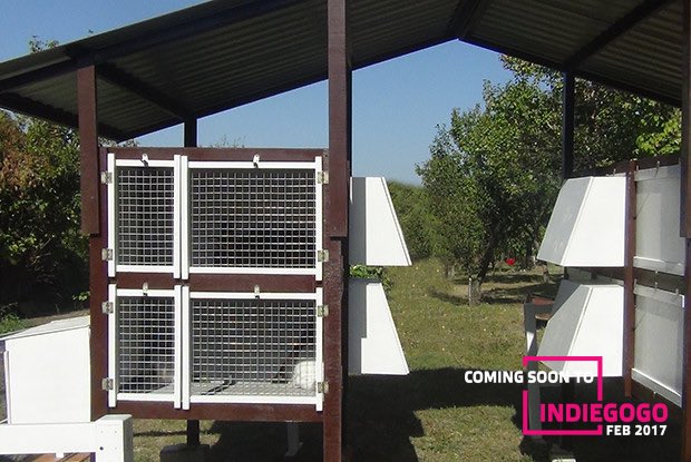 EasyRabbits's tweet photo. Semi-automatic rabbit's hutches with own hands - it's really possible 🛠🏡🐇 #easyrabbit #rabbithutch #easyfarming #indiegogo #meatrabbit https://t.co/wNNC6rqO1N