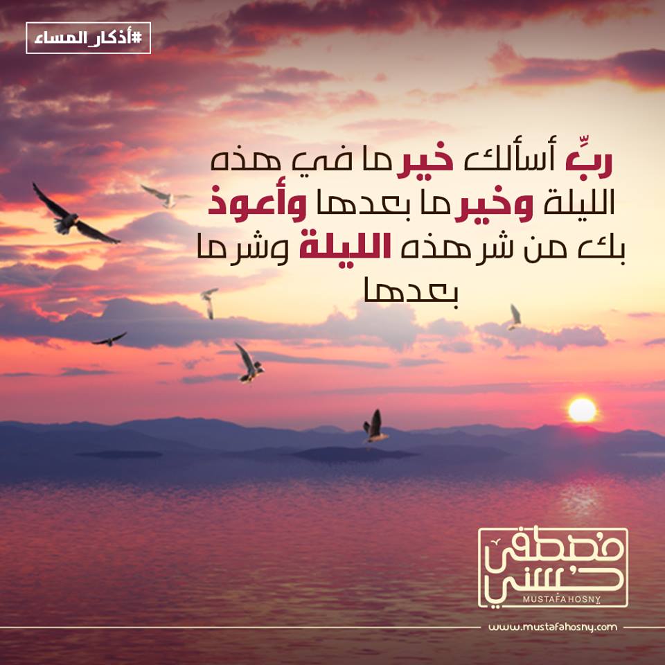 ربِّ أسألك خير ما في هذه الليلة وخير ما بعدها وأعوذ بك من شر هذه الليلة وشر ما بعدها
#اذكار_المساء