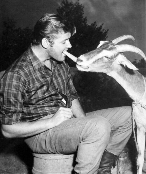 kathydaydream7's tweet photo. @sirrogermoore, with โco-starโ, 1959. #TheAlaskans #SilkyHarris https://t.co/rcq9TzW2CG