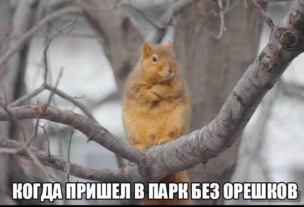 Сергей (@serbret98) on Twitter photo 