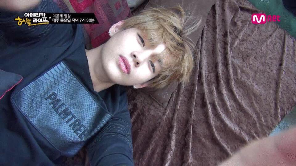 tt_lion_1230's tweet photo. テヒョンのセンイルまでに1230RT成功させたいです🦁💗💗

armyの皆様ご協力よろしくおねがいします！🙏🏻✨✨

#テテのセンイルまでに1230RT 
#RTした人全員フォローする 
#ARMYさんRT
#ARMYの力信じてる https://t.co/OxbBPFXL0d