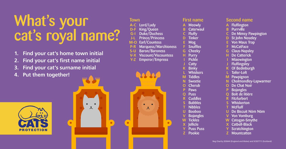 Cats Protection Ar Twitter Missed Our Cat Royalty Name Generator The First Time Around Here It Is Again What S Your Cat S Royal Name Tell Us T Co Fx3ibkc3hu