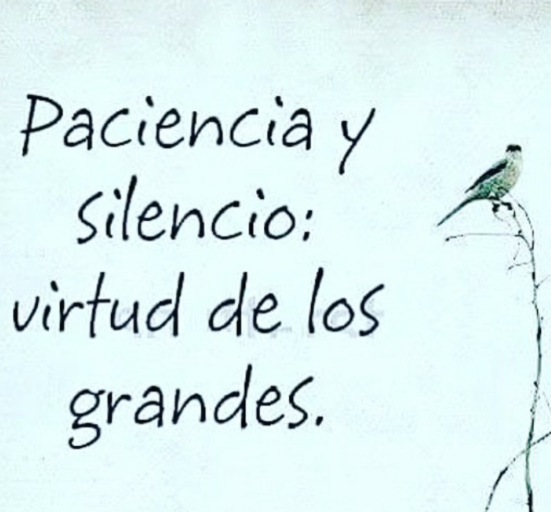 CRISTINA tweet media