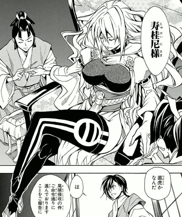 戦國ストレイズ 戦國ストレイズ