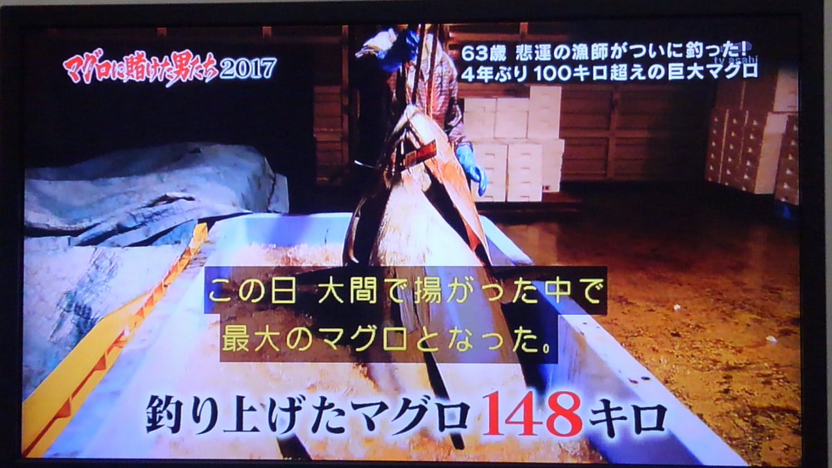 マグロに賭けた男たち17 マグロに賭けた男たち17