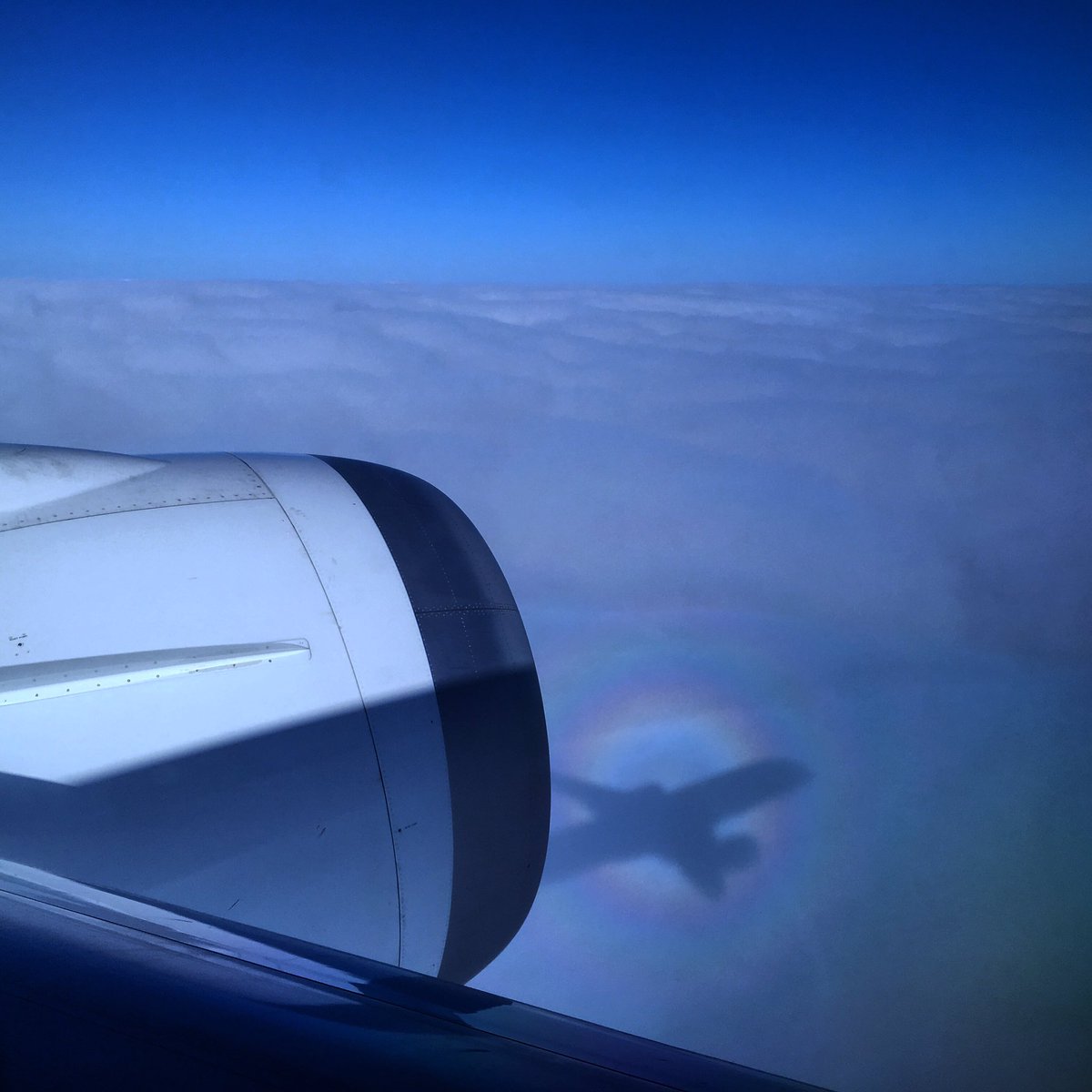 willdawesphoto's tweet photo. A #planebow coming into #Shanghai this afternoon . Never seen one from a plane before #cloudporn #rainbowporn https://t.co/vcPMa5Imfs
