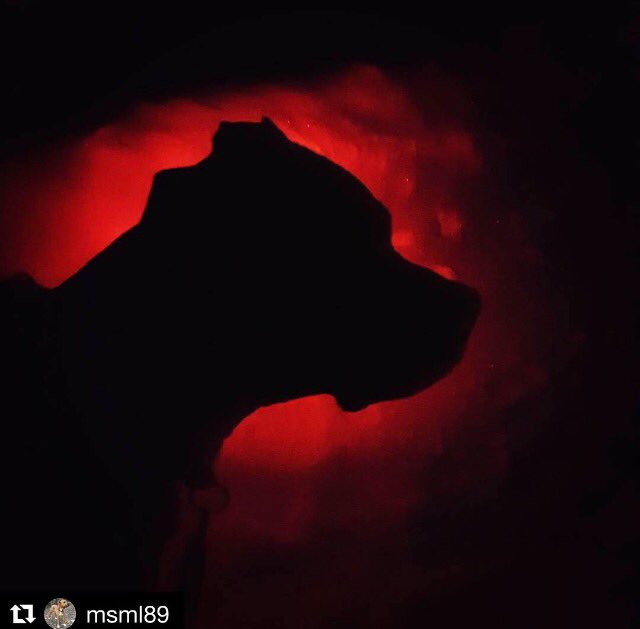 Glowing in the dark with the red #Orbiloc 🚨