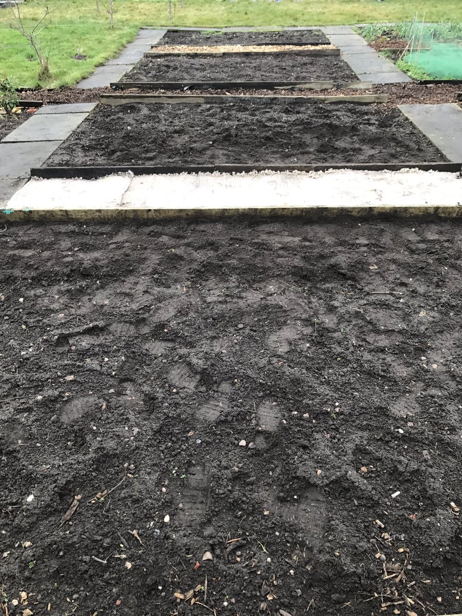 allotmenteers44's tweet image. Straight back to it... #creatingpaths #Winterjobs #thesegirlscan @shell_in_notts @MarieMcglinchey