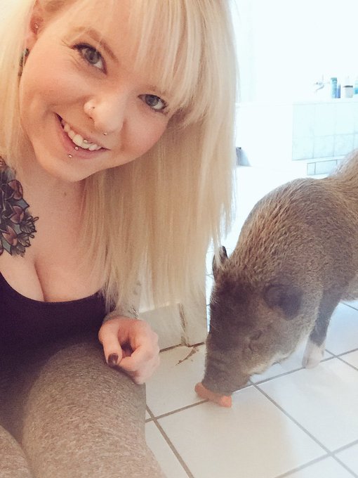 #Nachwuchs #hausschwein #schweingehabt #ichglaubmeinschweinpfeift https://t.co/rNc2LzyHYj<a href="/tag/nachwuchs"class="tags">#Nachwuchs</a><a href="/tag/hausschwein"class="tags">#hausschwein</a><a href="/tag/schweingehabt"class="tags">#schweingehabt</a><a href="/tag/ichglaubmeinschweinpfeift"class="tags">#ichglaubmeinschweinpfeift</a>