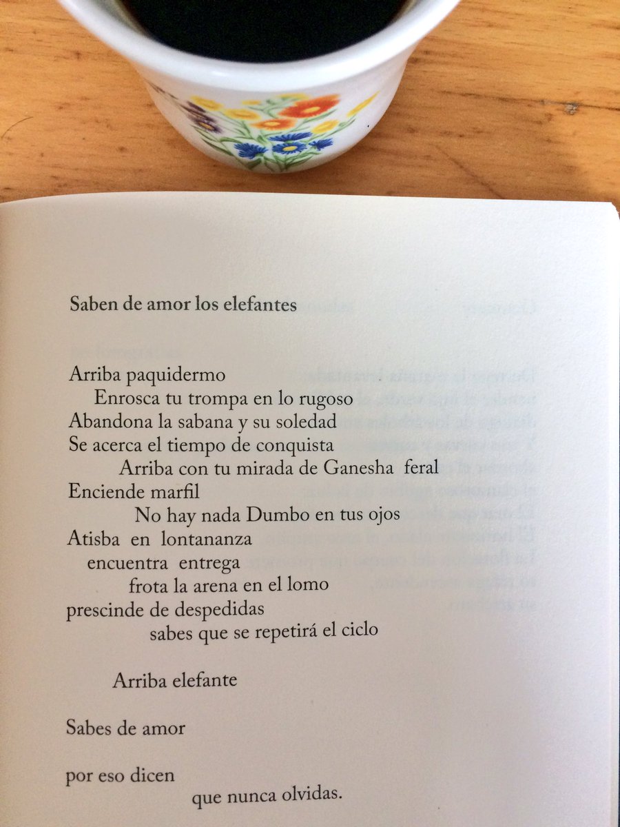 Café, más poesía y menos violencia. 
Leamos a Florencio Quintero: