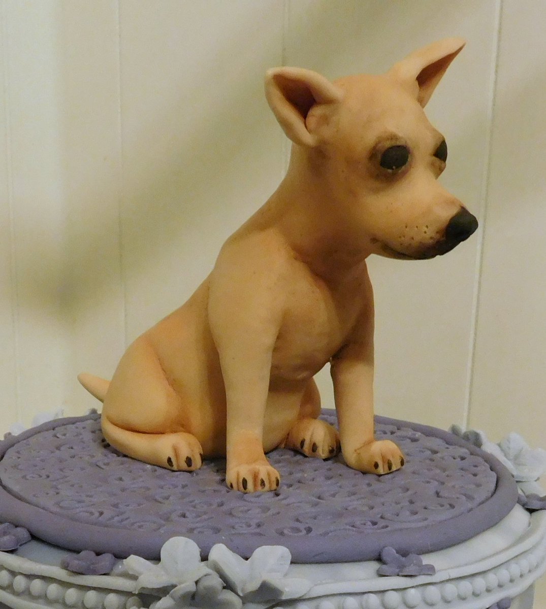 BarbsCakes's tweet photo. Candy the dog was made into a topper for Shaz's birthday https://t.co/VqsZ5uL1Zz