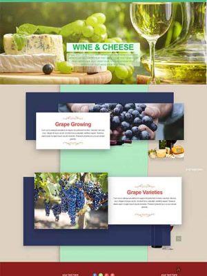 #webdesign #auction. Bid today! And get this #wine  #webshop to sell your products online! auctionbid.nl