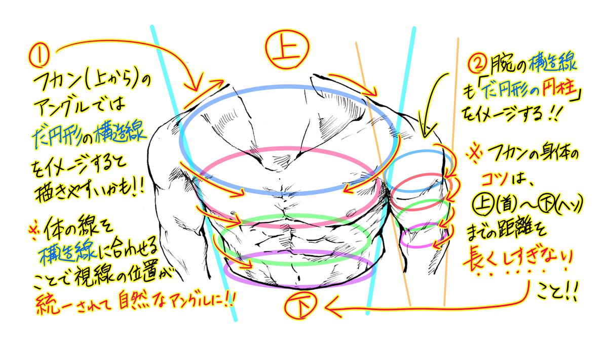 吉村拓也 イラスト講座 上からアングルの 男性の 体の描き方 300rt 1100イイね ありがとうございます プチ解説イラスト も よろしければどうぞ T Co 3twedlrnl3 Twitter