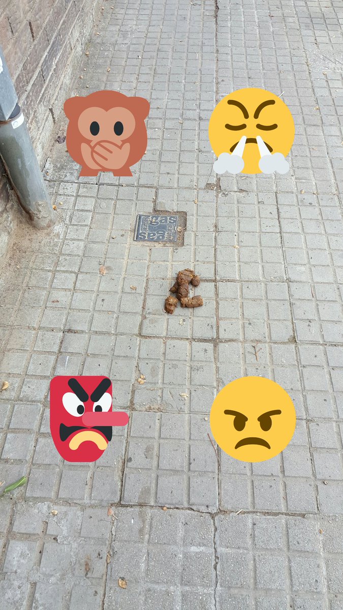 gus7875's tweet photo. @VilassardeMar fins quan haurem d'aguantar aquesta guarrada...?
#lhasbencagat #marranus #caca
(Narcís Monturiol davant Vilassar Jardí). https://t.co/HtwJwHip5i