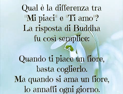 🌹 https://t.co/2aVGyThqAi<a href="/tag/holidays"class="tags"><span>#holidays</span></a><a href="/tag/bf"class="tags"><span>#bf</span></a>