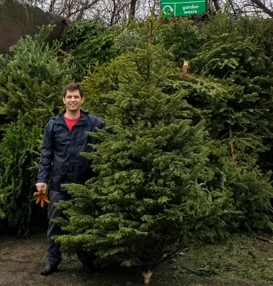 Treecycle tweet media
