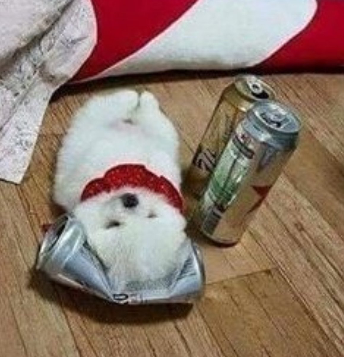 촛불하나🕯40K #세상을 밝히는 (@gimys63331) on Twitter photo 