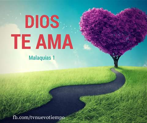 SimienteEterna's tweet photo. #LaCumbre2017  #EstoyConGuillier #CadaDíaQuePasaEstoyMás #BuenDomingo  #PamiVerguenza #DomingoDeGanarSeguidores #CuatroMesesConRodea https://t.co/oO5wkiD2Rg