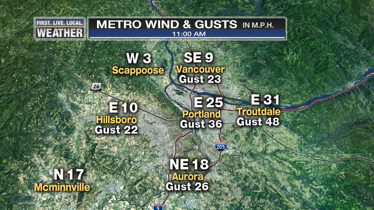 JoeRaineriWX's tweet image. Seeing the winds pick up again today, gusts are close to 50 mph in Troutdale. With the #WINDCHILL, feels more like 12 degrees.