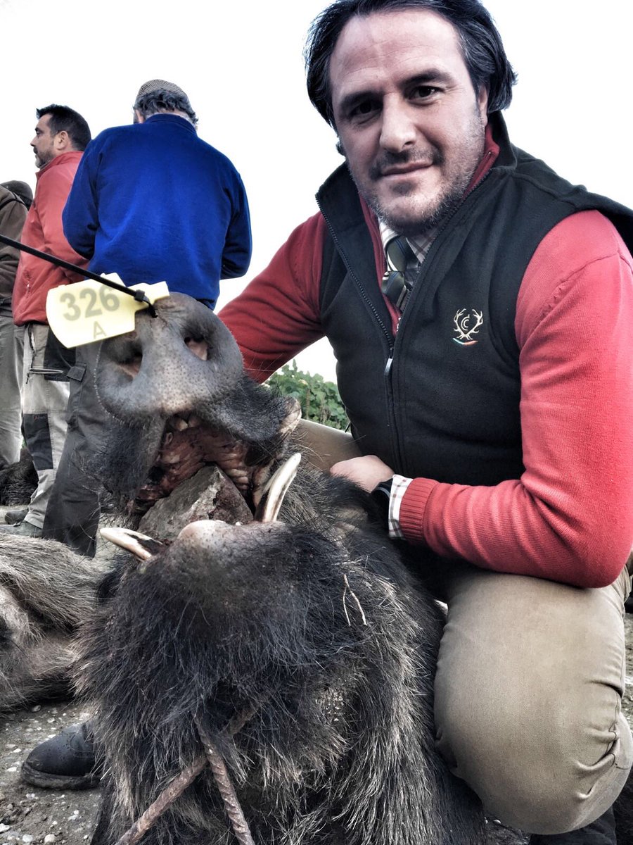 Resultado de nuestra montería Rancho de los Ciervos de hoy: 65 Venados, 34 jabalies y 4 gamos.
