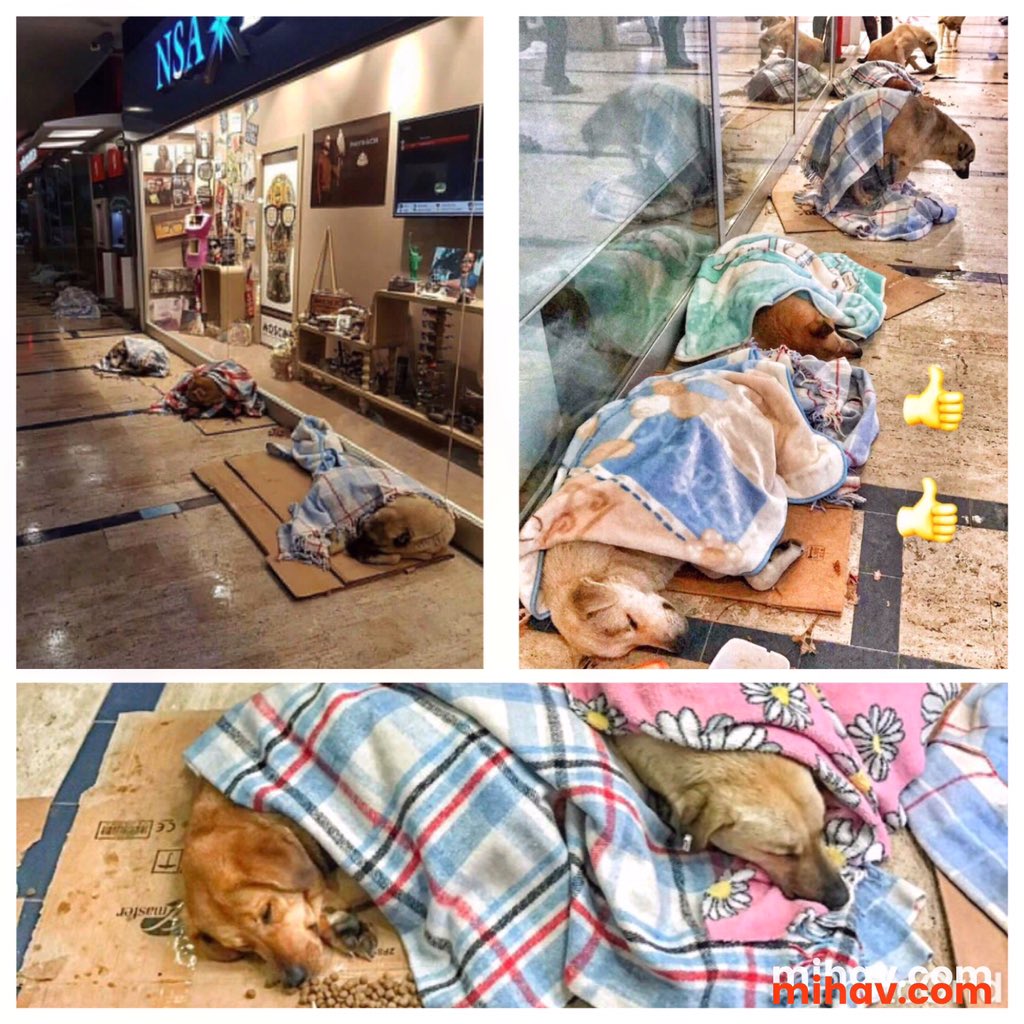 "Paranın her şey olmadığını,mühim olanın insanlık "olduğunu bize hatırlatan İstanbul, Bakırköy Atrium AVM yönetimine gönülden teşekkürler.