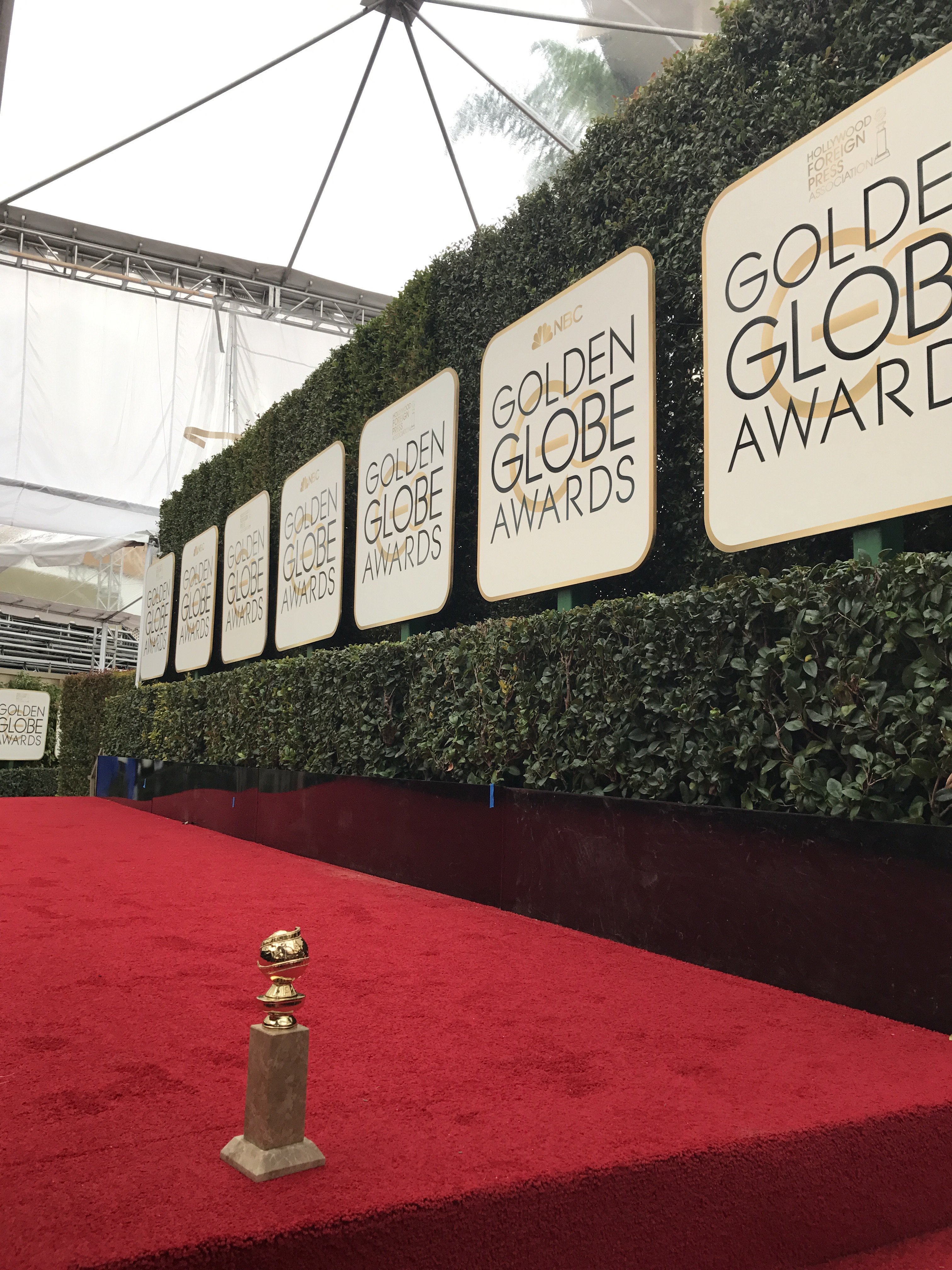 Golden globes best sale carpet