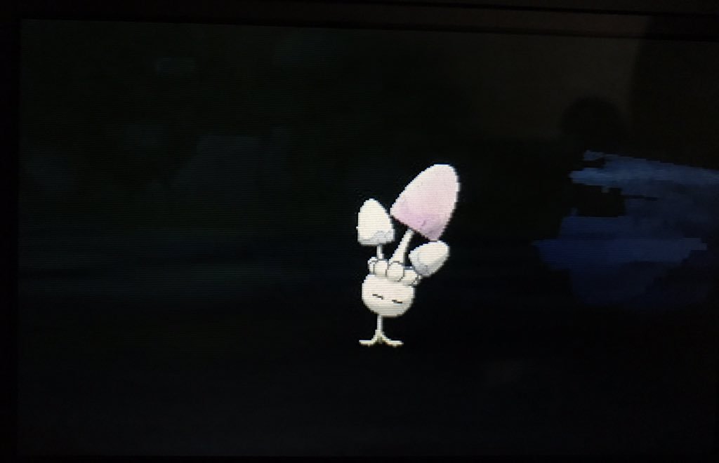 تويتر きゅにお ポケスナッパー على تويتر ポケモン新年会 〆の一発ギャグ ネマシュが寝ましゅ ポケモンサンムーン ポケファインダー きゅにポケファインダーシーズン2 T Co Q4jnggdibn