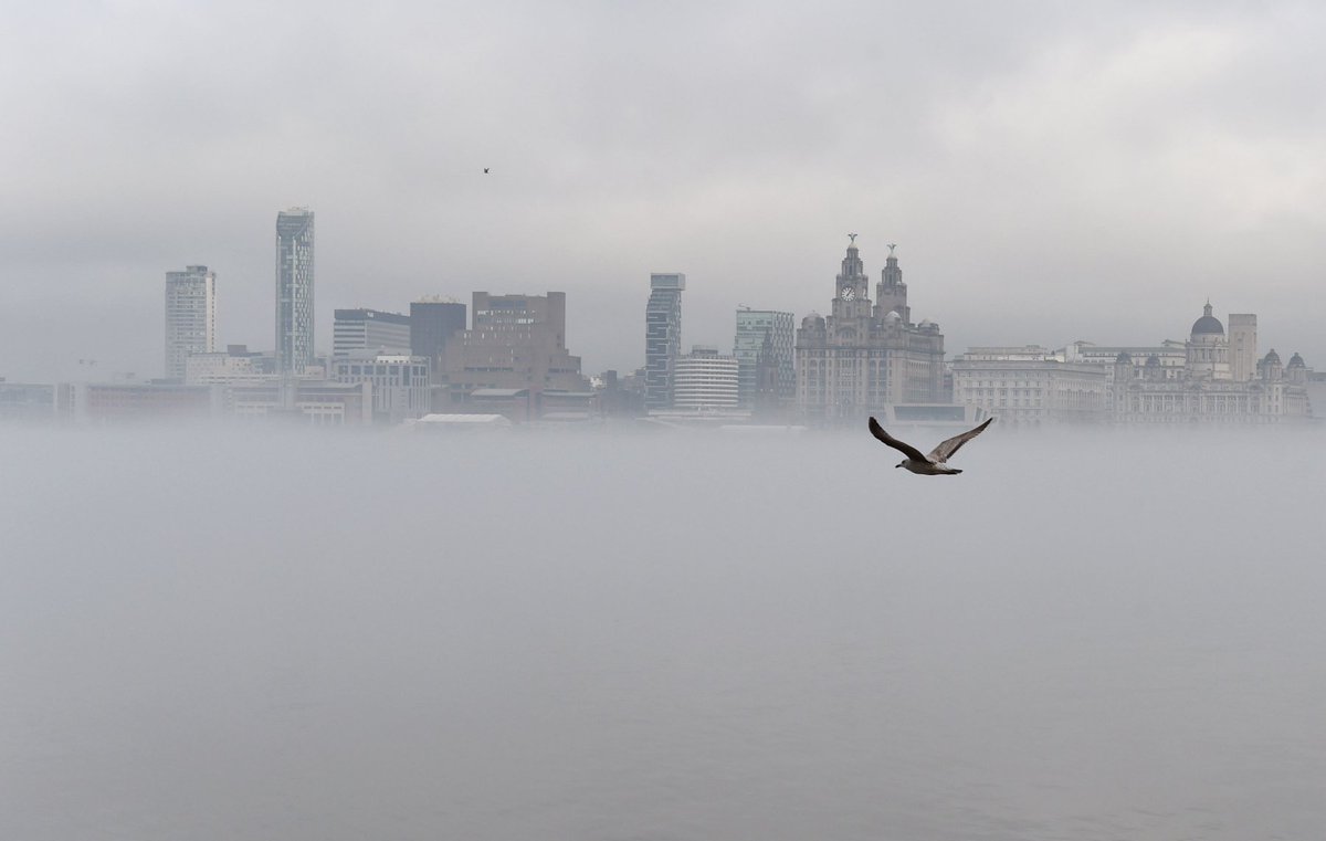 Liverpool Echo tweet media