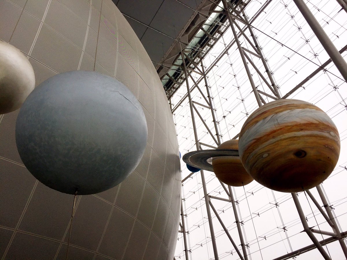 Day at the museum #AMNH