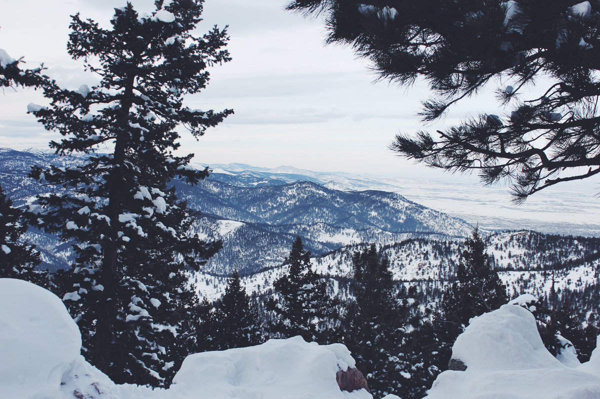 AlexCotner's tweet photo. winter in colorado❄️ https://t.co/cILVl70TxL