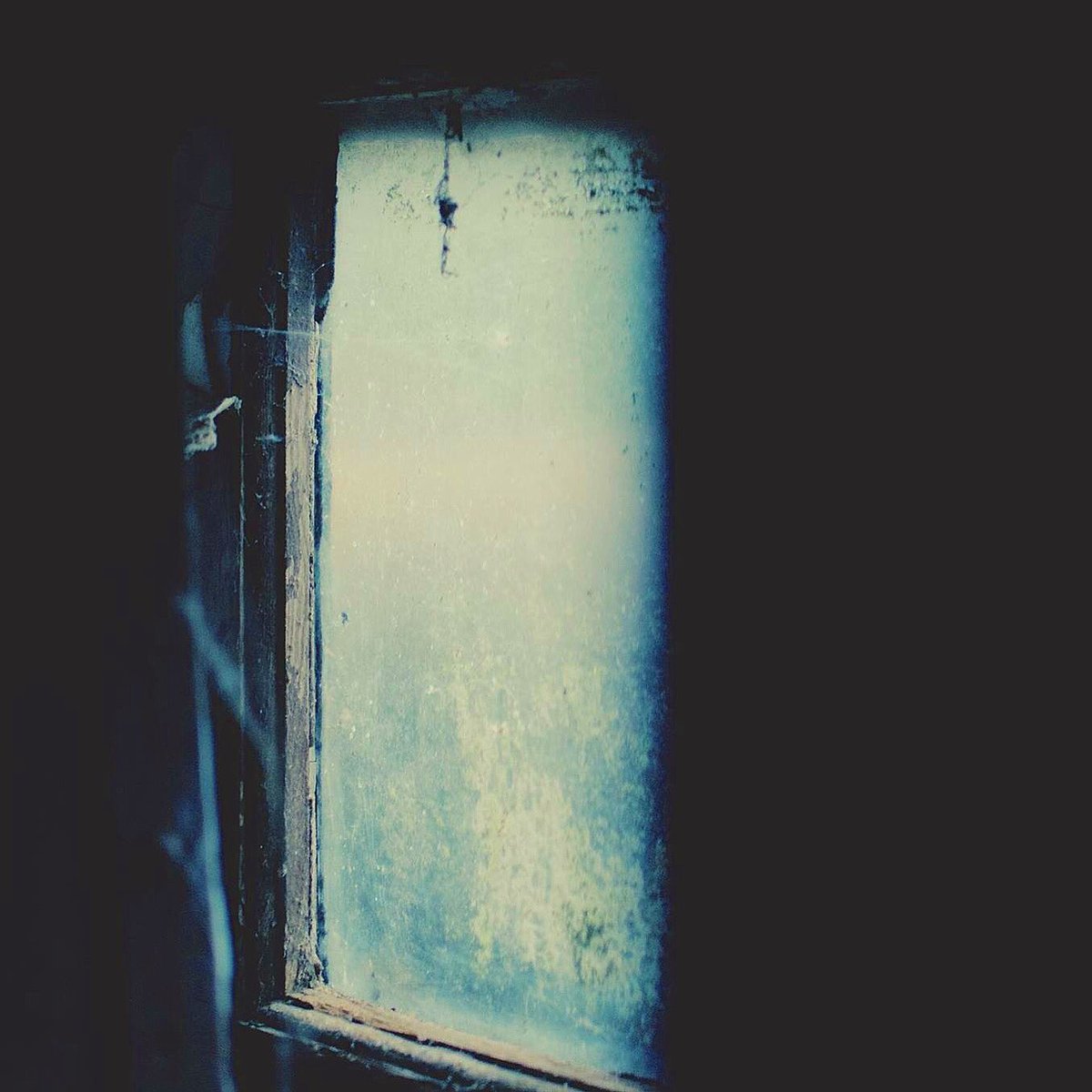 SimCapture45's tweet photo. #macro #abandoned #photographer #new #blog #Derbyshire #comingsoon # https://t.co/XIXfjbPxa0