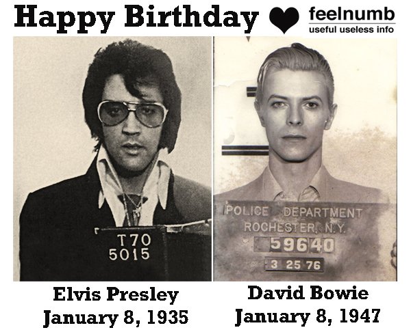 HAPPY BIRTHDAY to #ElvisPresley and #DavidBowie. Born this day Jan. 8th 1947 #legends / nyredpages.com