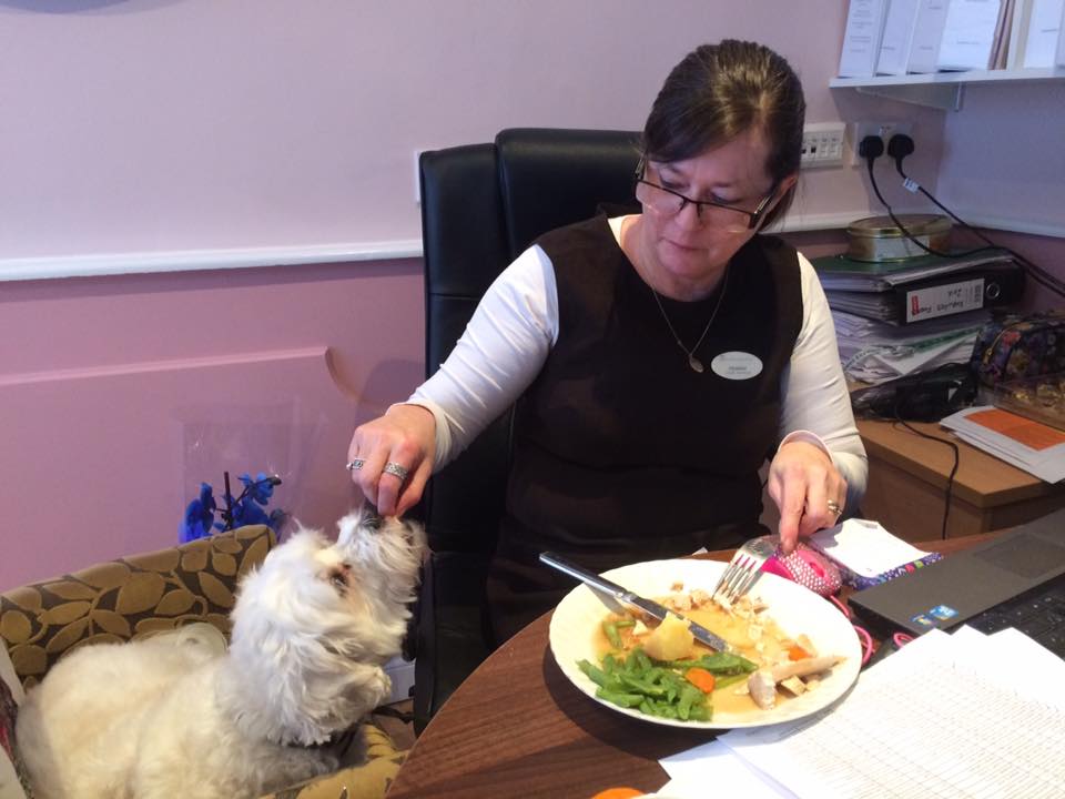 Lunch time for Chumley at Queen Elizabeth Park Care Home 💙