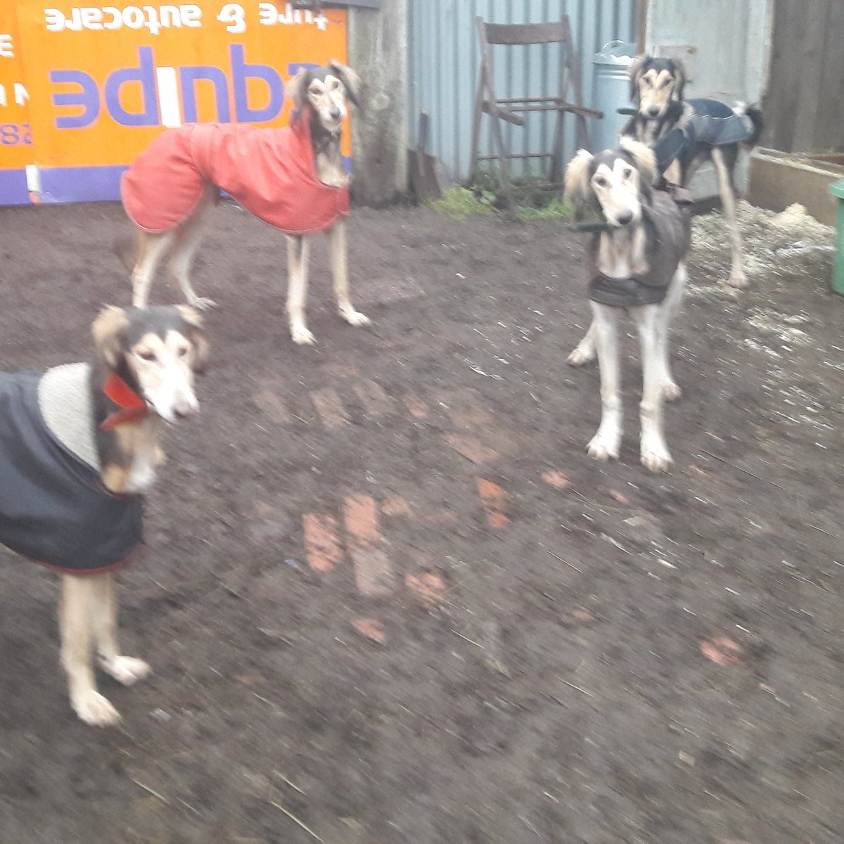 JabMove's tweet image. 