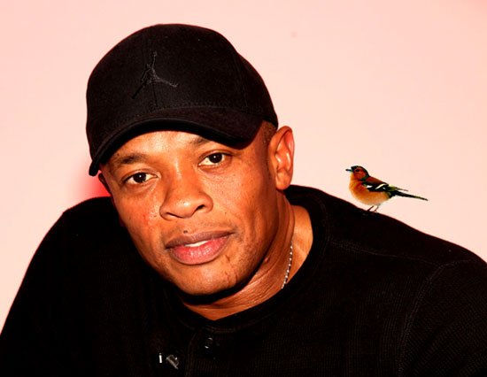 Birds of Dre.
No.63
The Common Chaffinch.