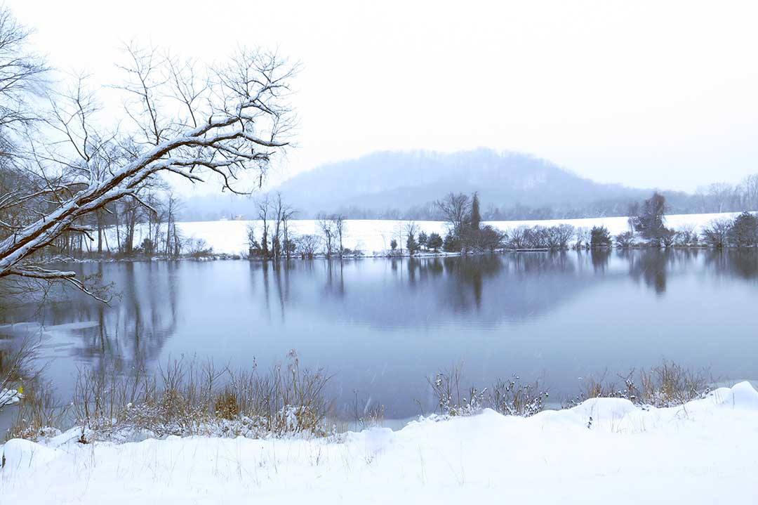 SweetBriaredu's tweet photo. The first #snow of the season turned #SweetBriar into a winter wonderland. (Photos by Perry Tourtellotte) https://t.co/Quo4oQpUwU