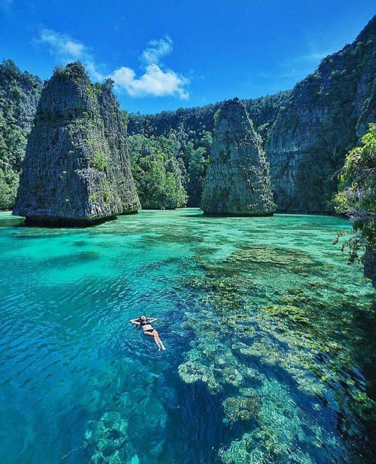 Would you go swimming here? 😎🌴🌴 | Photo by IG: <a href="/travelgram/">fuki_travelgram</a>