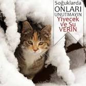 #ÖNEMLİ