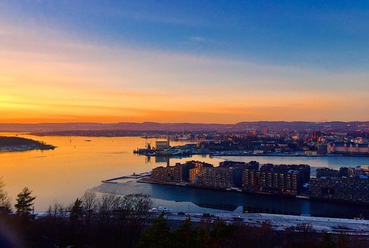 VisitOSLO's tweet photo. View of Oslo from @ekebergrestauranten #oslo #visitoslo Photo: @yuiko_no https://t.co/ty7NM1ywOE https://t.co/ilab3758aw