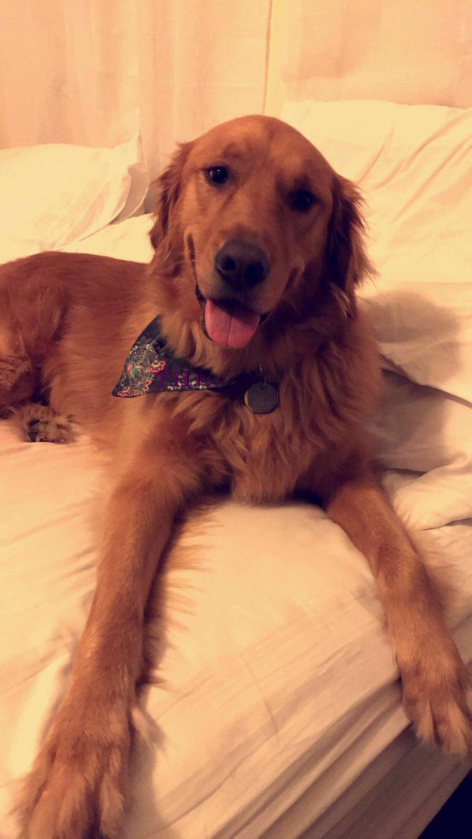kittyomeara's tweet photo. Can't wait to see this face this weekend🤗 https://t.co/zpj3nFsNQZ